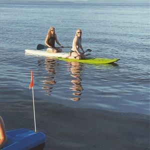 Meet your Posher, Taylor